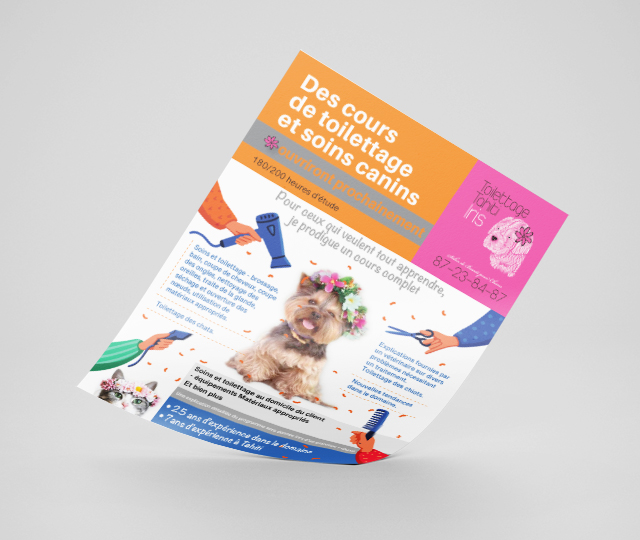 תספורת צרפתית לכלבים